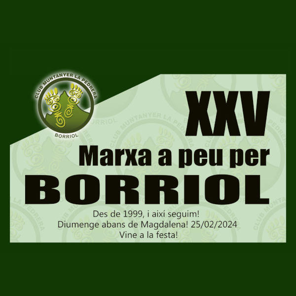 Cartel de XXV Marxa a Peu per Borriol en Borriol, Castellón