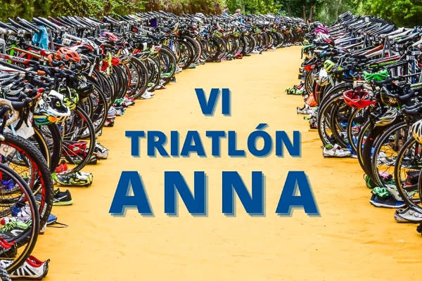 Cartel oficial de VI Triatlón de Anna — 20 de septiembre de 2020 en Anna, Valencia
